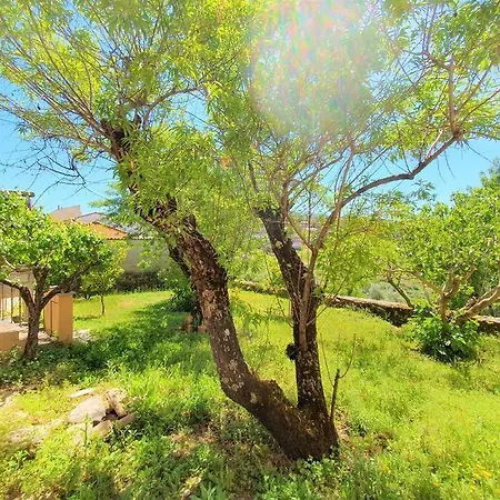Casa Sierra Y Azahar Casa de Férias